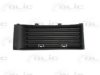 SKODA 6Y0853666DB41 Ventilation Grille, bumper